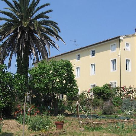 Casa Marce A "Sonno" Bed and Breakfast Porcari Exterior foto