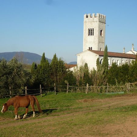 Casa Marce A "Sonno" Bed and Breakfast Porcari Exterior foto